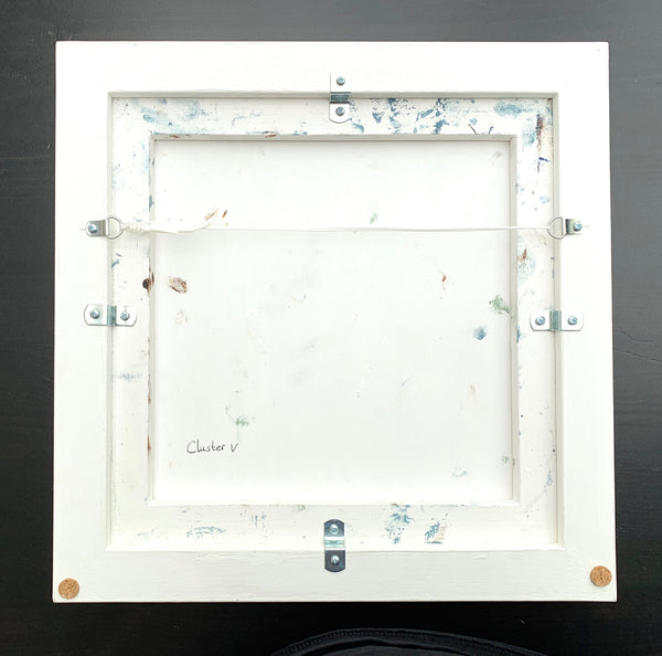 Cluster V (framed)